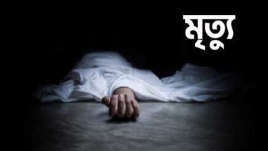 তেরখাদায় বোঝাই ট্রলির চাপায় স্কুল শিক্ষার্থীর মৃত্যু,