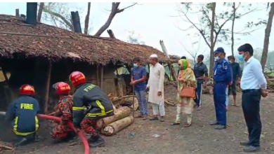 খুলনা রূপসায় অভিযানে অবৈধ কয়লার চুল্লি ধ্বংস