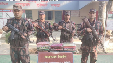 ৫ লাখ টাকার মালামাল জব্দ সীমান্তে বিজিবি অভিযানে