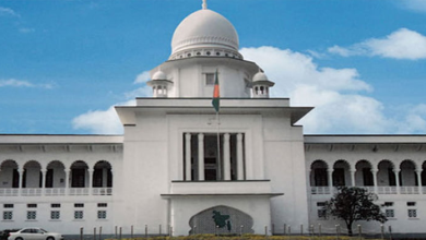 জনগণের ইচ্ছা দ্বারা সমর্থিত অন্তর্বর্তী সরকার আইন